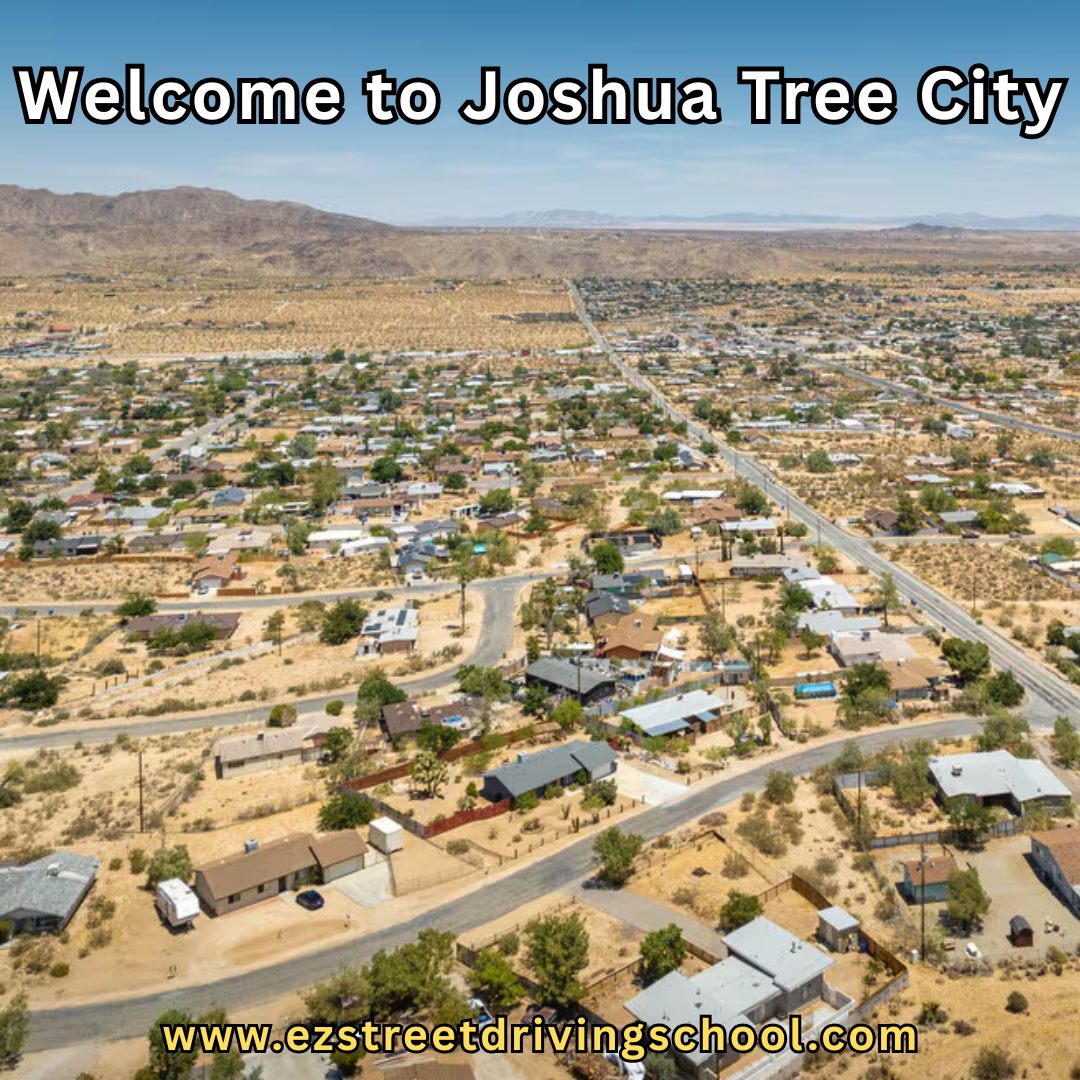 Driving Lessons in Joshua Tree